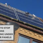 How To Stop Pigeons Nesting Under Solar Panels? Ways To Stop