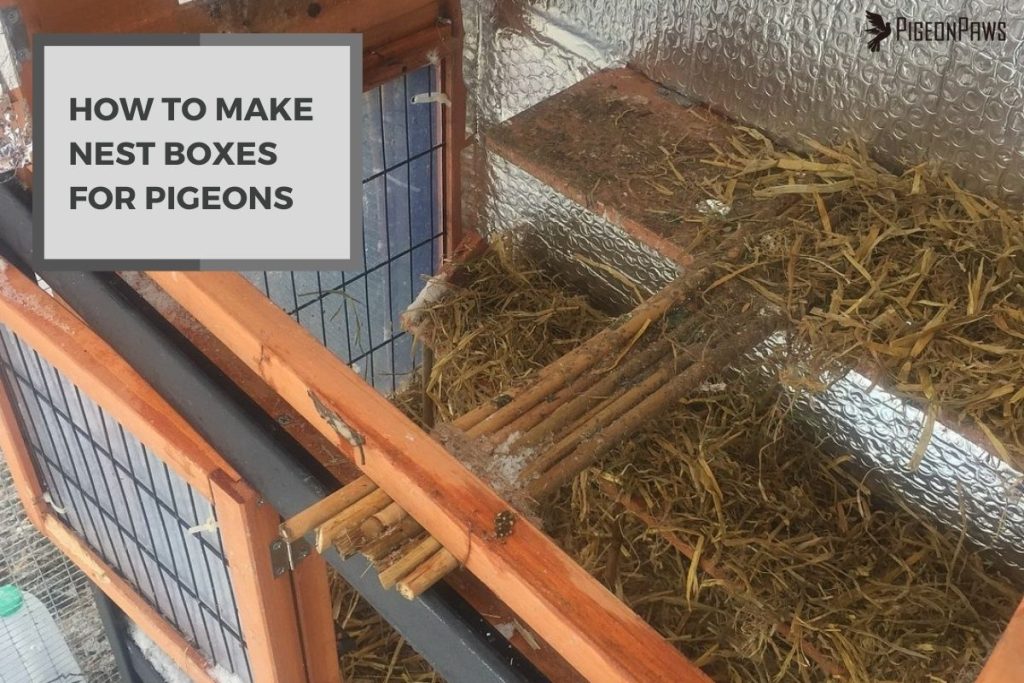How to Make Nest Boxes for Pigeons